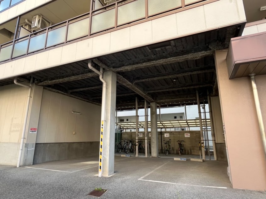 駐車場 パインハウス