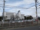 私立摂南大学(大学/短大/専門学校)まで857m コーポ尾上