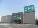 ニトリ守口大日店(電気量販店/ホームセンター)まで1000m ディアコート守口B棟