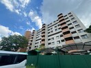 白川高層住宅５号棟（９０４）の外観
