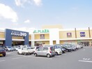 アヤハディオ(電気量販店/ホームセンター)まで500m コーポセラヴィB棟