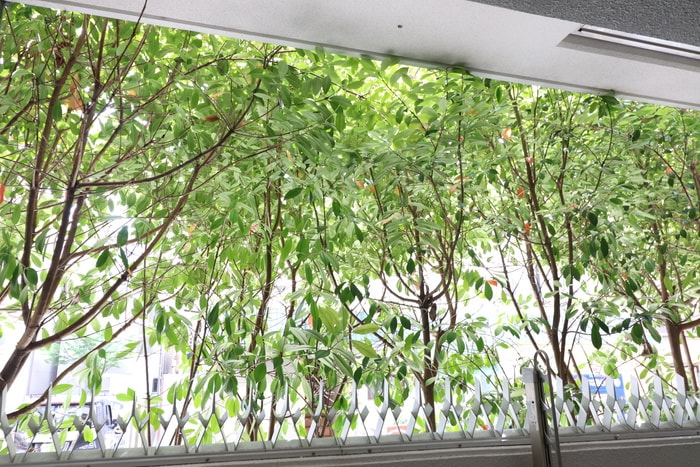 室内からの展望 ファーストエフレシア姫里