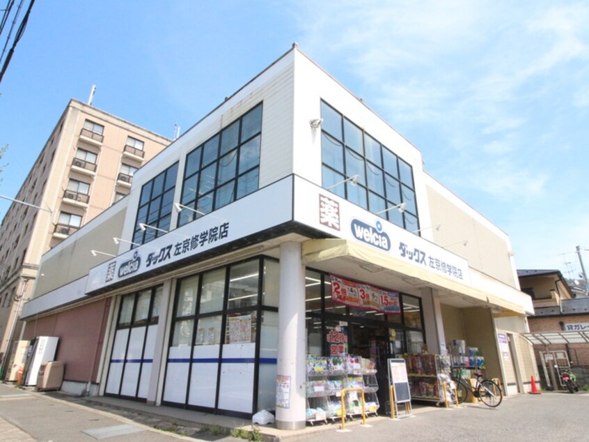 ダックス左京修学院店(ドラッグストア)まで600m 修学院ＴＥＲＲＡＣＥ