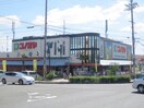 コノミヤ枚方店(スーパー)まで345m グラン・リ－オ・セルカ西町