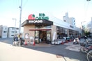 オアシス(スーパー)まで160m クラッシオ鍵本