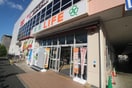 ライフ(スーパー)まで211m シティナカモズ