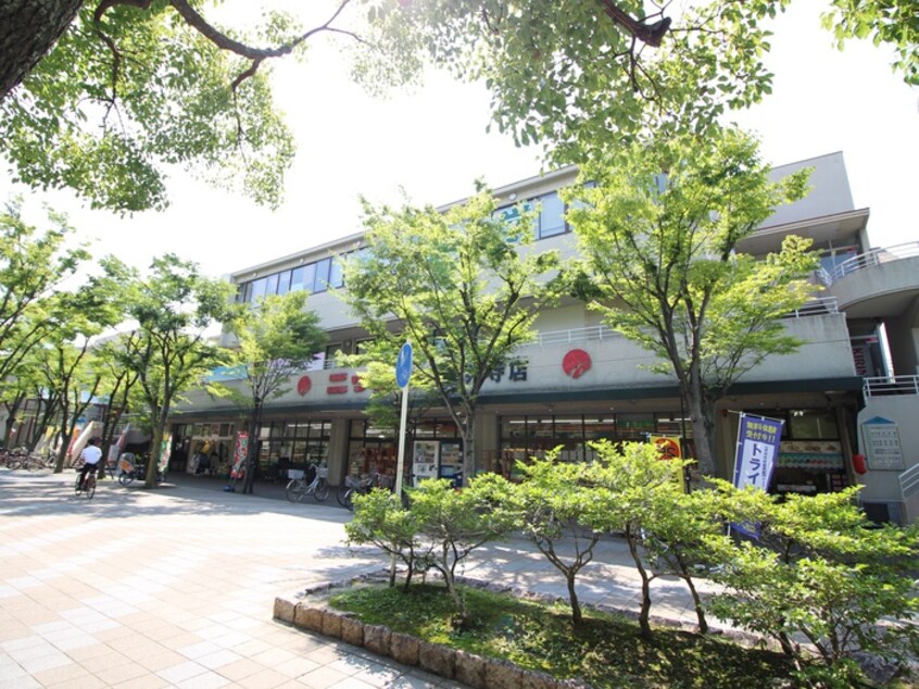 ニッコー(スーパー)まで350m シェリ－ル五月が丘北