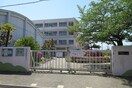 高槻市立寿栄小学校(小学校)まで600m 西町ロイヤルマンション