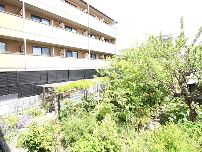 室内からの展望 プレアデス