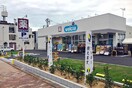 ウエルシア薬局西宮北名次店(ドラッグストア)まで670m シャルマンドミ－ル