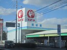 コメリ(電気量販店/ホームセンター)まで362m サンハイツ