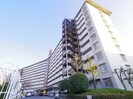 向島ニュータウン三街区D棟(712)の外観