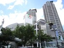 イズミヤ(スーパー)まで212m シャト－レ瑞穂
