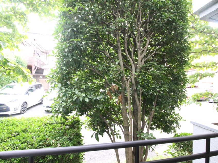 室内からの展望 洛北館