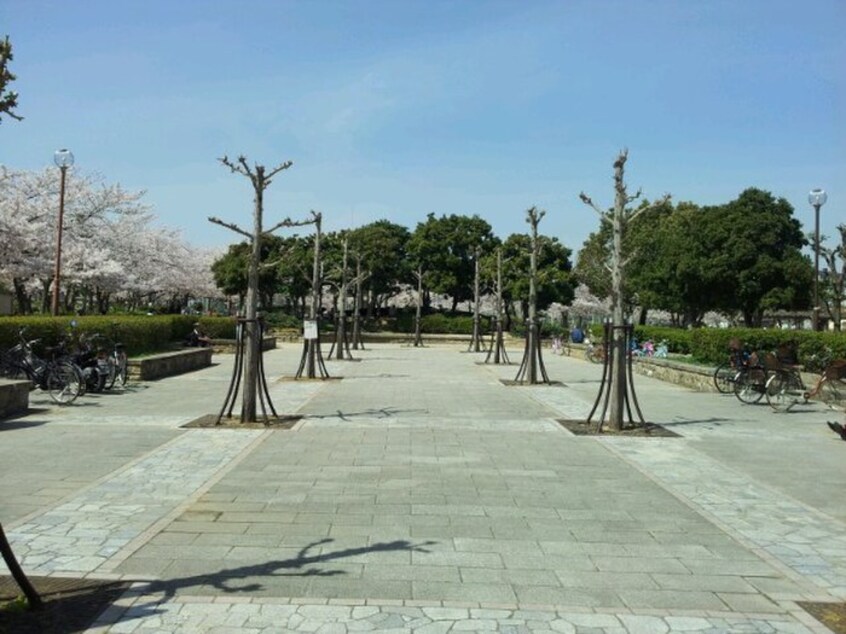 上ヶ池公園(公園)まで140m 明神マンションⅠ