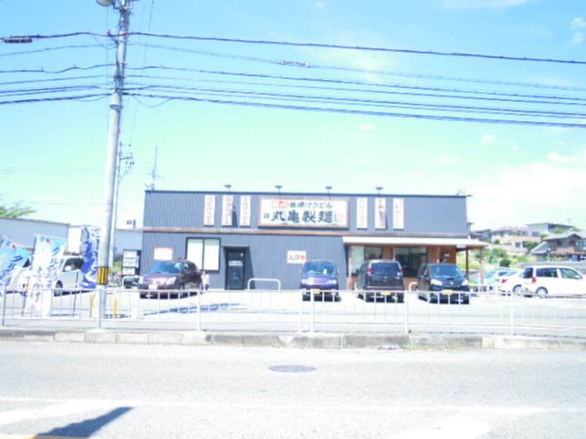 丸亀製麺(その他飲食（ファミレスなど）)まで500m シティパレス熊取