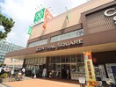 ライフセントラルスクエア西宮原店(スーパー)まで300m ドーミー新大阪