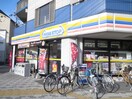 ミニストップ(コンビニ)まで260m ベルビュー七条河原町