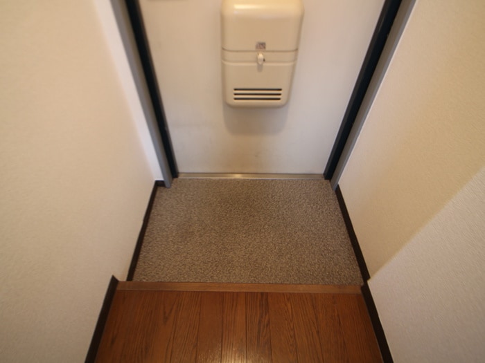 玄関 プルメリア