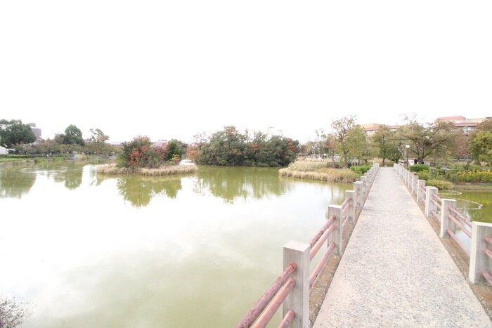 万代池公園(公園)まで900m ビュ－ハイツ帝塚山