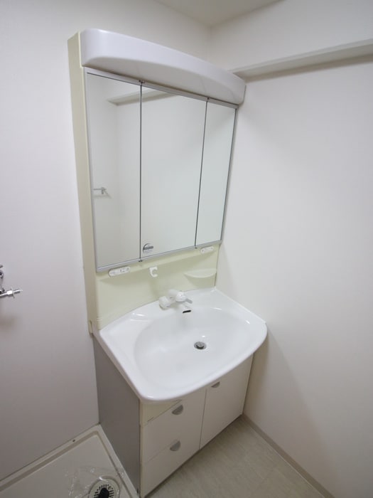 洗面 カサ・デ・高の手