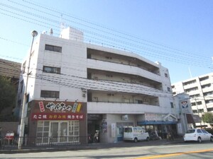 サンフラワー 醍醐