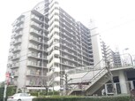 アメリア６番館(904)