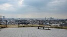 大丸山公園(公園)まで450m クレールメゾン