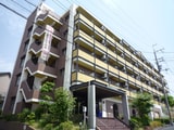 ｶﾚｯｼﾞﾊｲﾂﾃﾞｨｸﾞﾆﾃｨ-