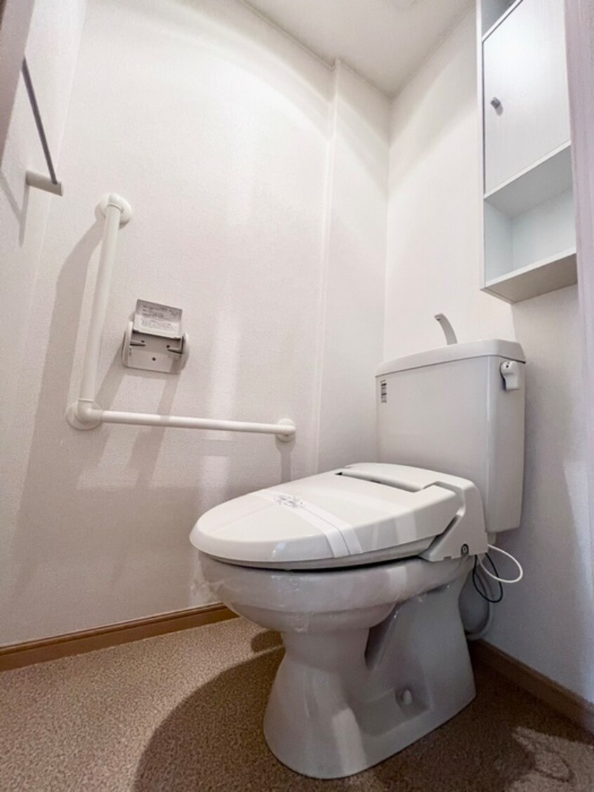 トイレ サンハイツ大島