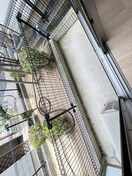 ベランダ・バルコニー フジパレス初芝駅南Ⅲ番館