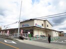 万代　樫原店(スーパー)まで750m ﾌﾟﾚｽﾃ-ｼﾞ