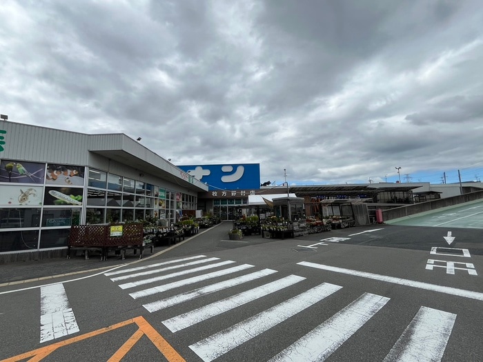 コーナン枚方野村店(電気量販店/ホームセンター)まで910m Ｗisteria terrace