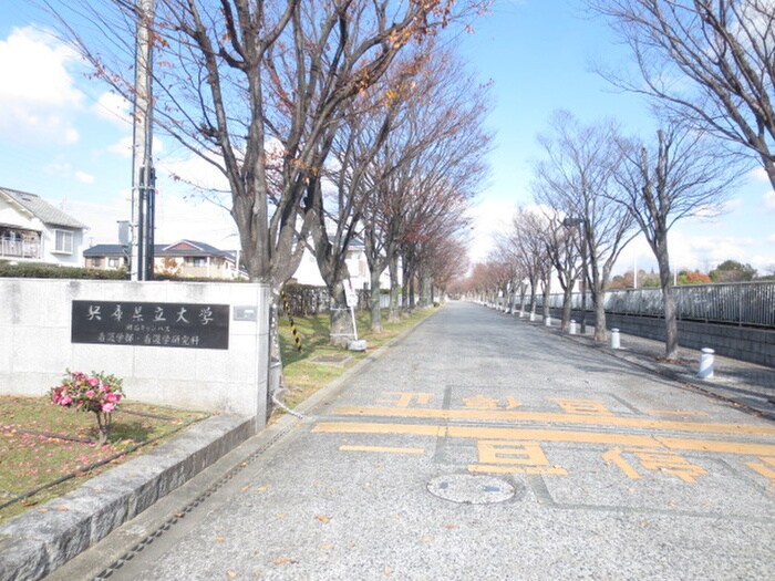 兵庫県立大学　看護キャンパス(大学/短大/専門学校)まで1400m マンション望大明石町