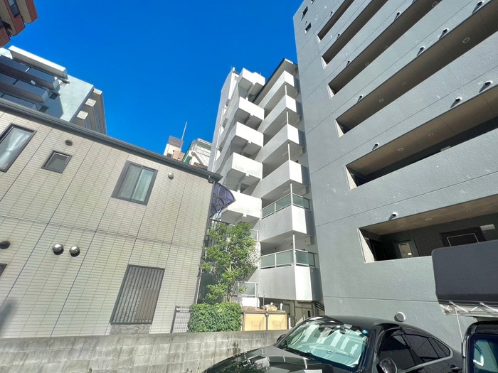 外観写真 テレサエンバシ