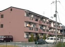暁21うえきⅡ号館の外観