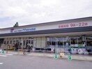万代(スーパー)まで450m サーパスシャイン