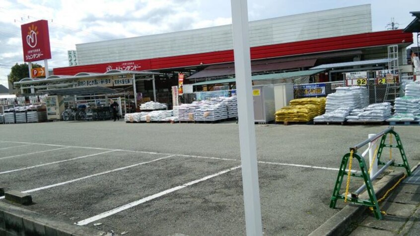 ジュンテンドー(電気量販店/ホームセンター)まで800m ミリオンフルール