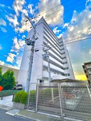 felicia うさぎの外観