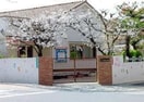 甲子園東幼稚園(幼稚園/保育園)まで554m ウエステル甲子園
