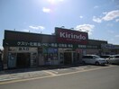 キリン堂枚方招提店(ドラッグストア)まで1200m プレアール牧野