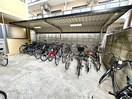 駐輪場 アルビオン新北野