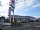 万代　泉佐野貝田店(スーパー)まで950m オリーブ泉ヶ丘