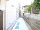 その他 F asecia Nephel