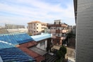 室内からの展望 F asecia Nephel