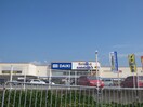 ダイキ(電気量販店/ホームセンター)まで1600m アルビオン