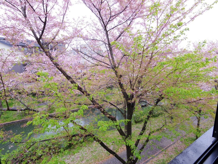 室内からの展望 リバ－ジュ北浜