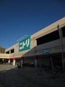 ニトリ(電気量販店/ホームセンター)まで370m ｲﾝｸﾞﾗﾝﾄﾞｱｳﾞｪﾆｭ-10番館