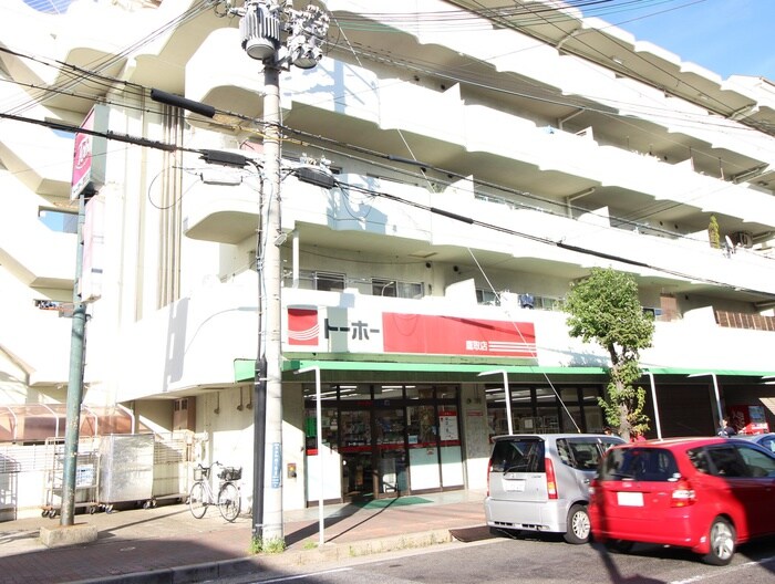 トーホー(スーパー)まで350m シャロン鷹取東