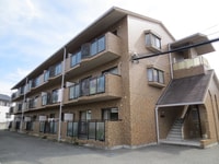 パレド－ル・ＪＯＥ